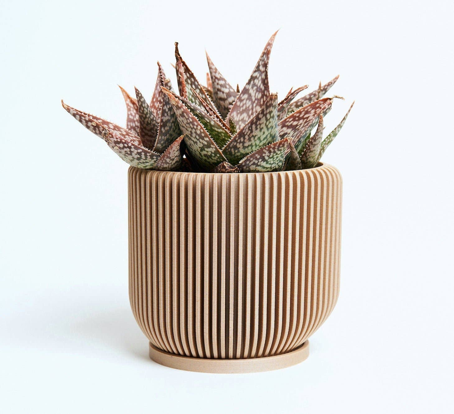 beige planter pot Woodland Pulse IONIC Modern Ribbed Planter Planter, Plant Pots, Flower Pots in Beige at Nordstrom
