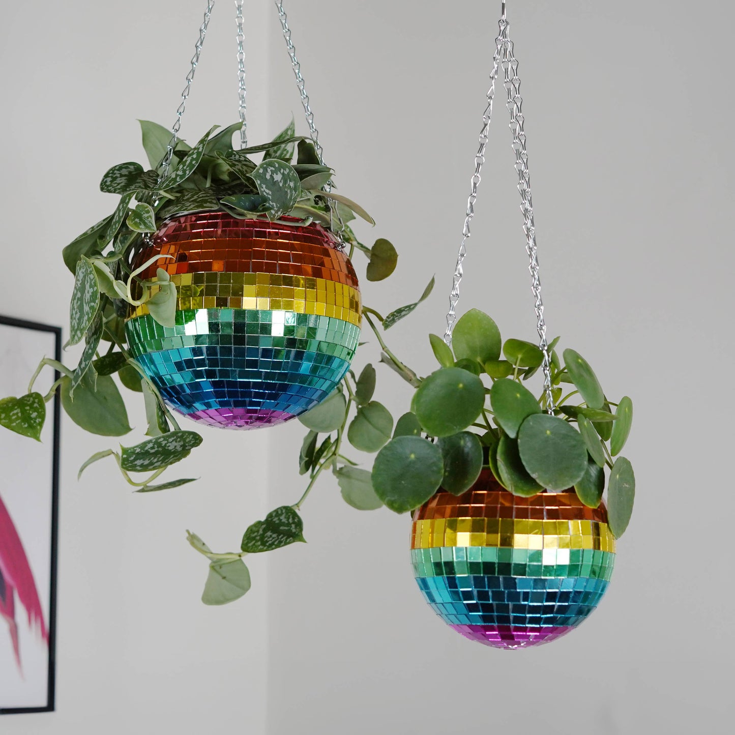 Disco Ball Hanging Planter - Rainbow