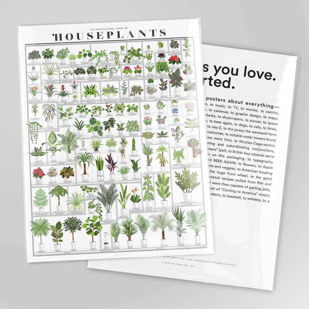 The Horticultural Chart of Houseplants | 16" x 20" Art Print