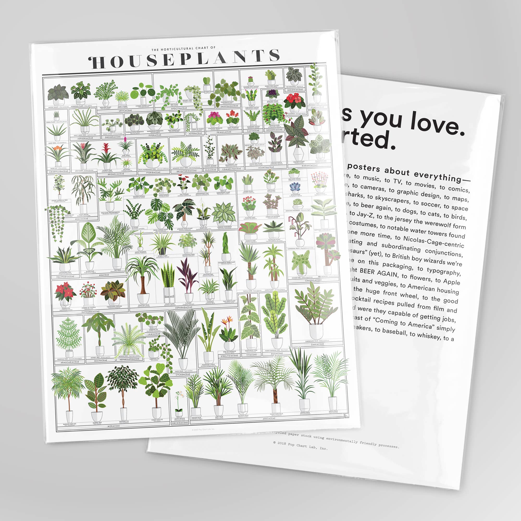 The Horticultural Chart of Houseplants | 16" x 20" Art Print