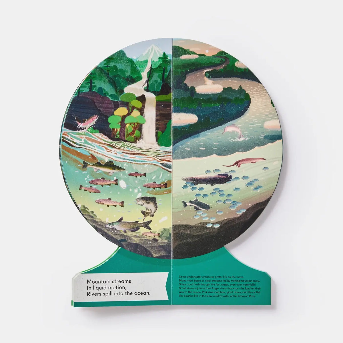 Our Underwater World: Dive Into Oceans, Lakes, Rivers