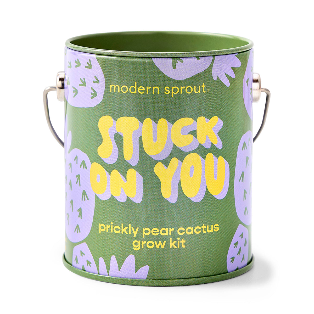 Stuck on You Cactus Grow Kit