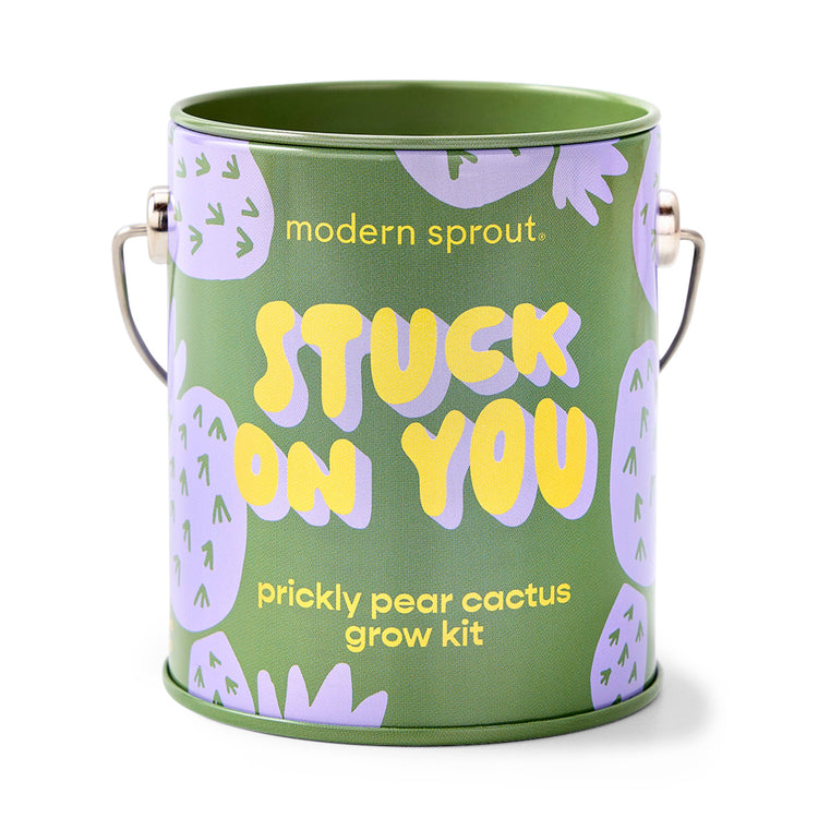 Stuck on You Cactus Grow Kit
