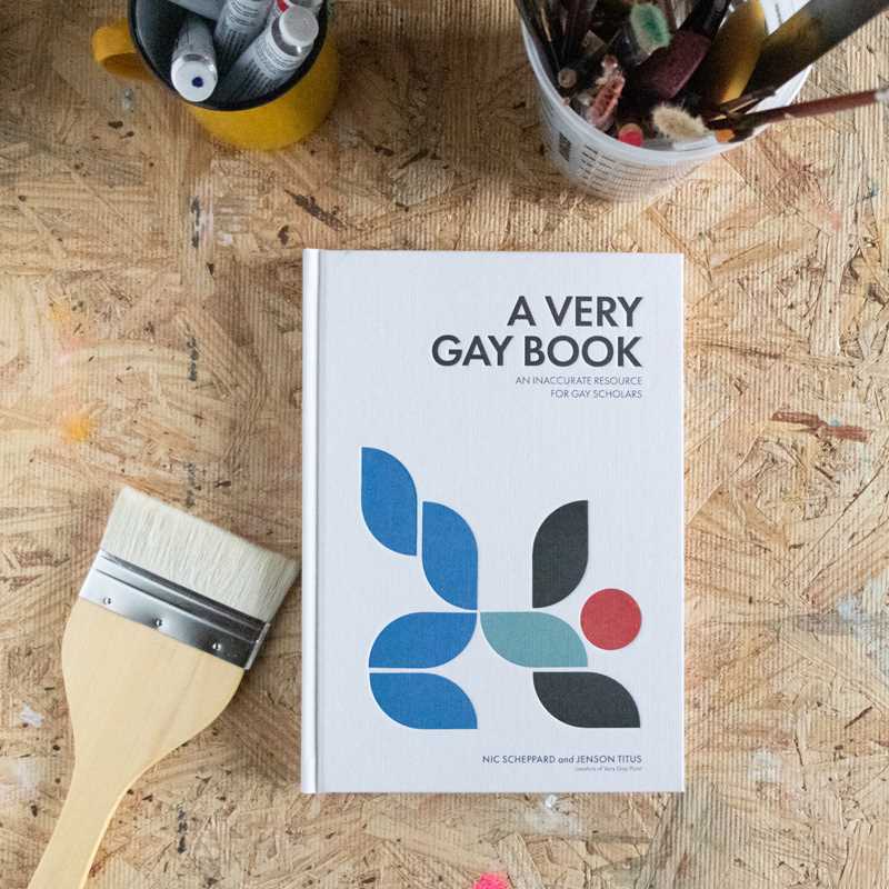 Very Gay Book