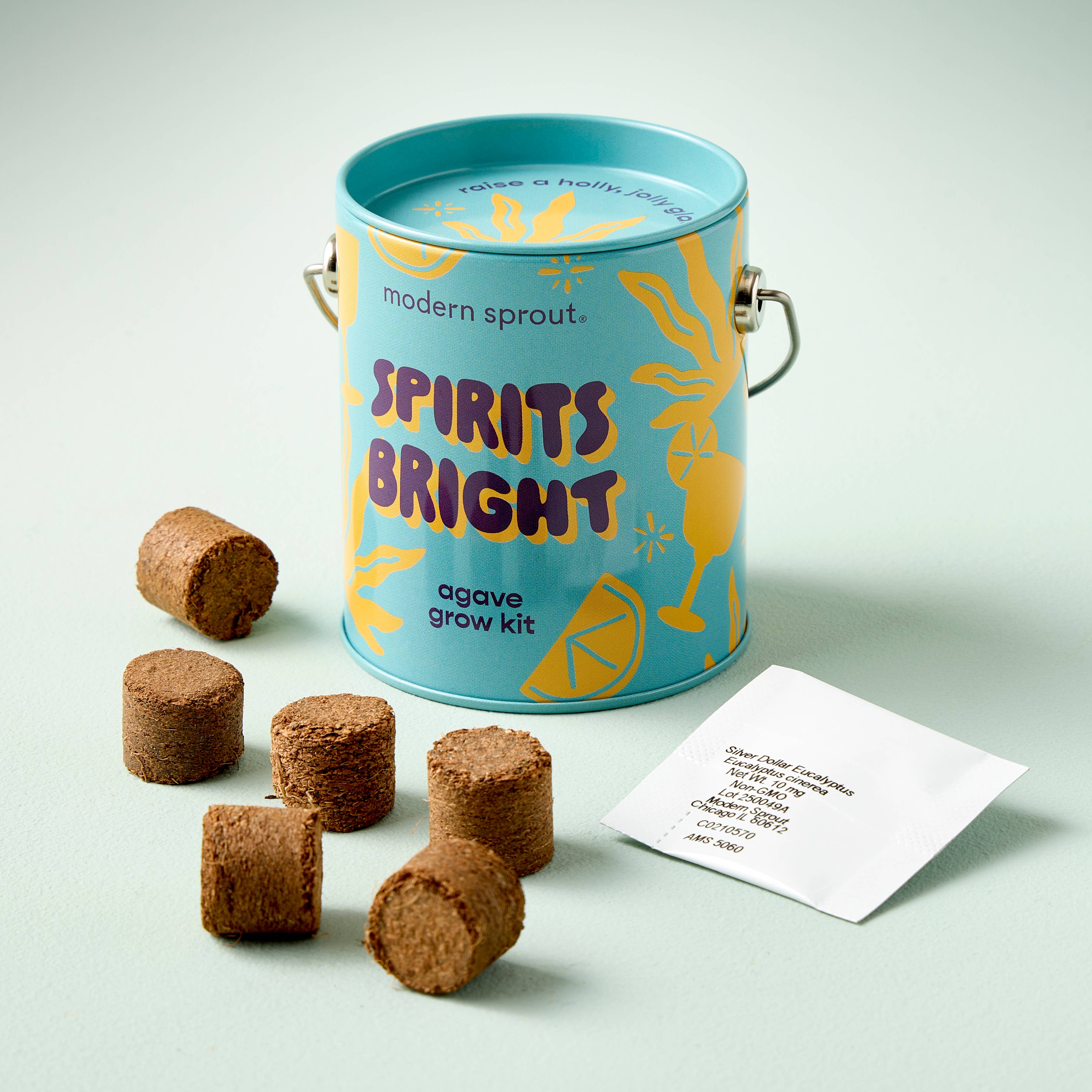 Holiday Grow Kits: Spirits Bright - Agave