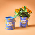 Bada Bloom Sunflower Grow Kit