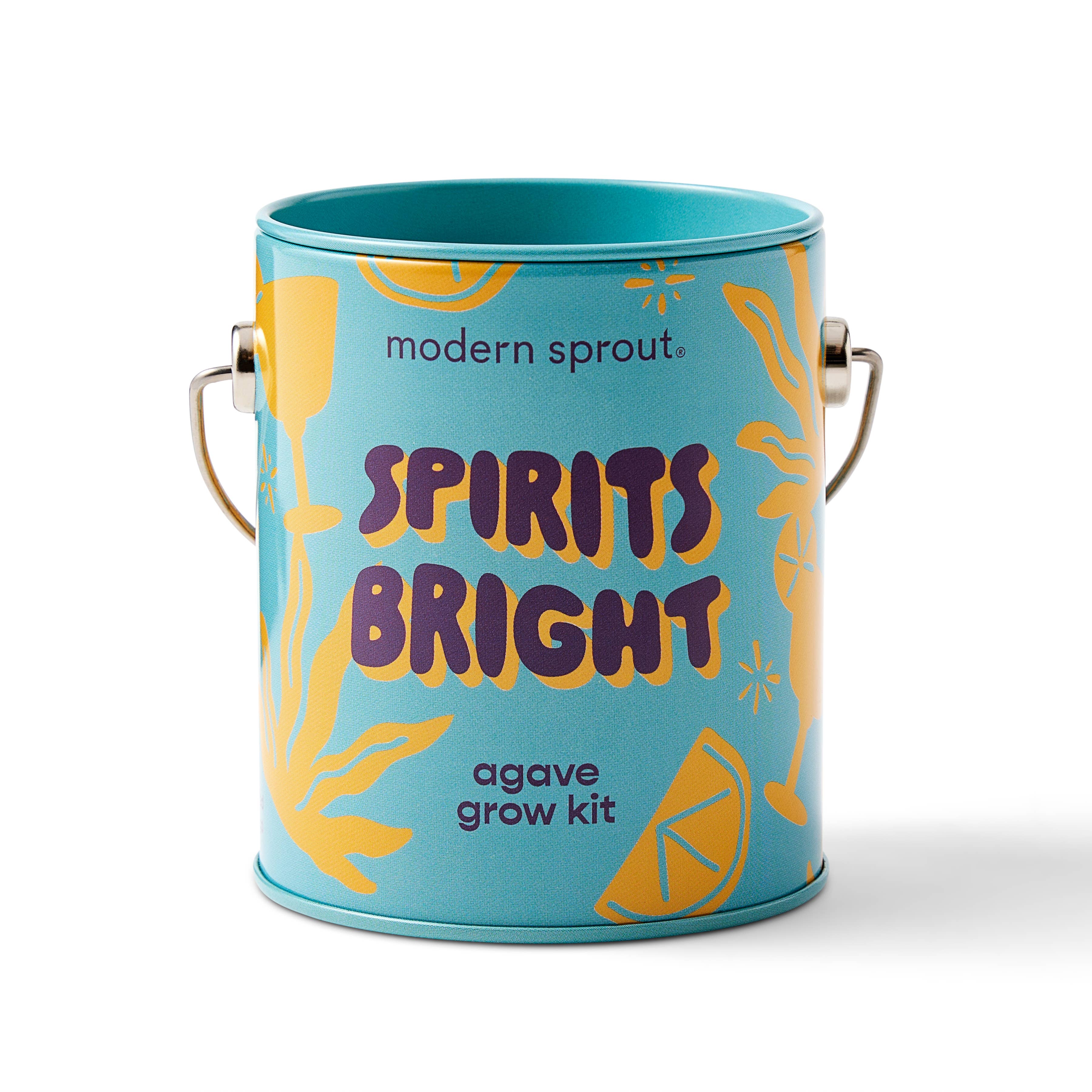Holiday Grow Kits: Spirits Bright - Agave