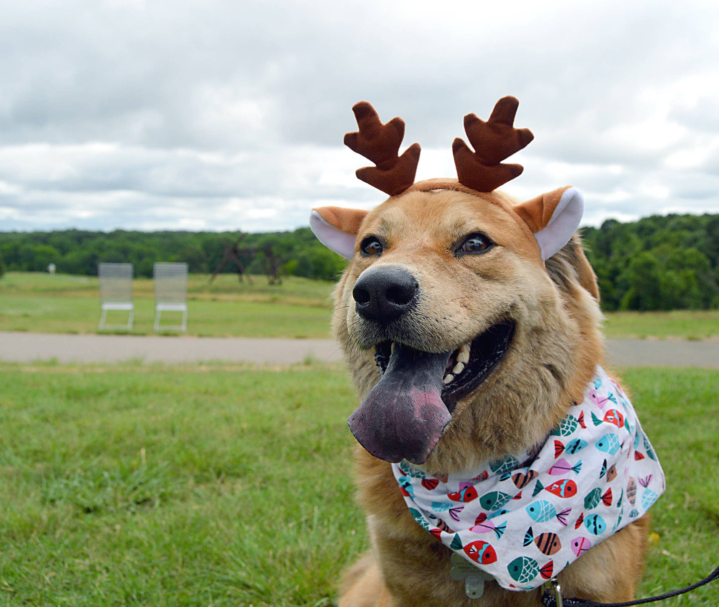 Christmas Reindeer Ears