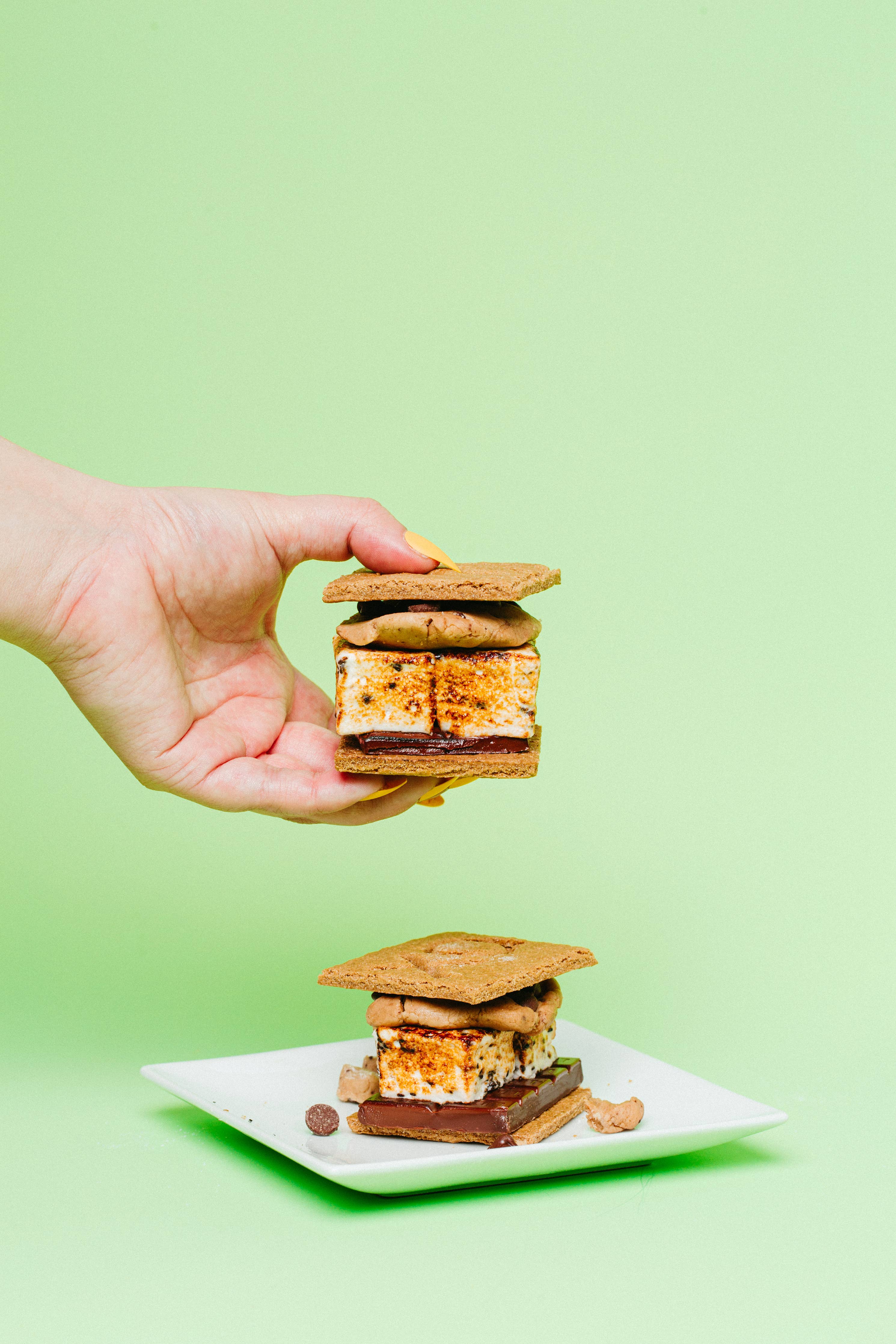 Chocolate Chip Marshmallows / Gluten Free / Dairy Free Candy
