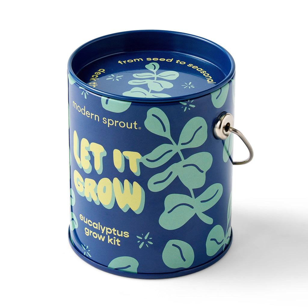 Holiday Grow Kits: Let It Grow - Eucalyptus