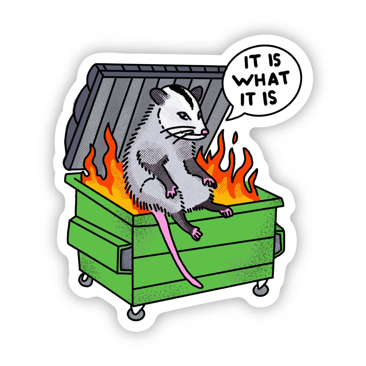 "It is what it is" Possum Dumpster Fire Sticker