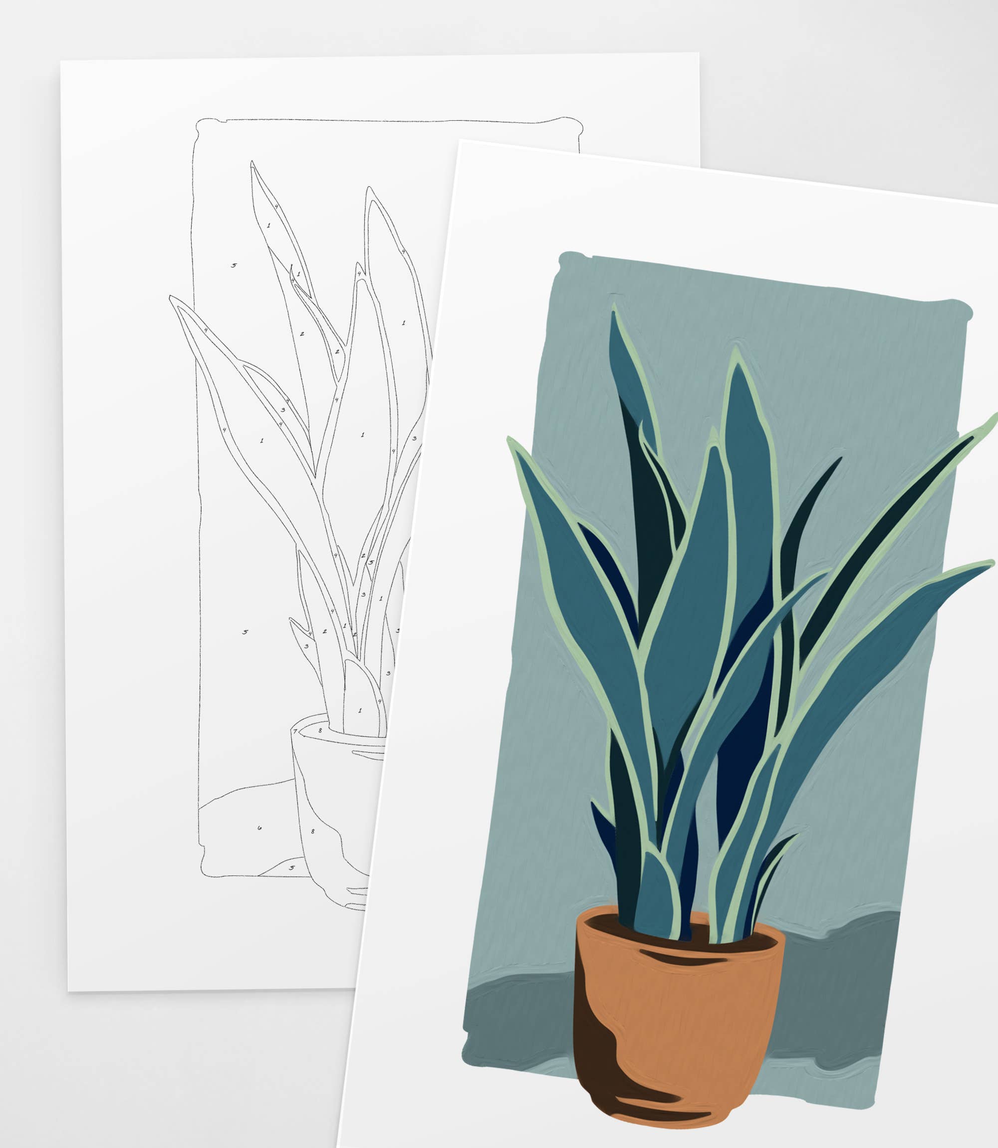 Potted Snake Plant | Modern Paint By Numbers Kit (12.5x19)