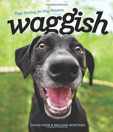 Waggish: Dogs Smiling for Dog Reasons