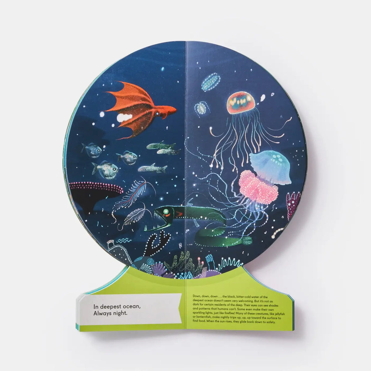 Our Underwater World: Dive Into Oceans, Lakes, Rivers