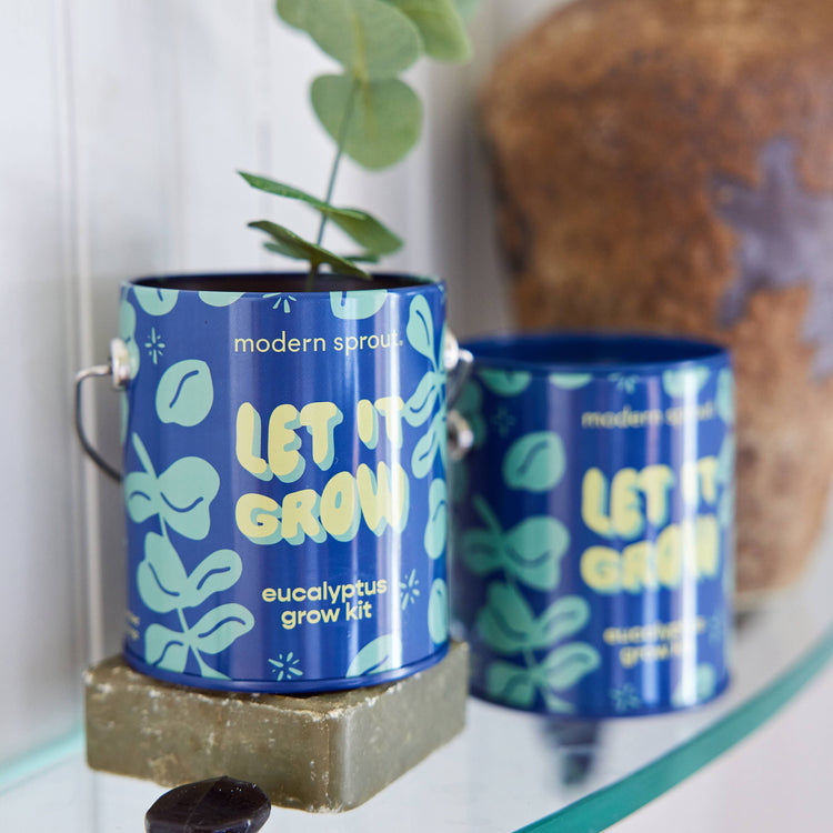 Holiday Grow Kits: Let It Grow - Eucalyptus