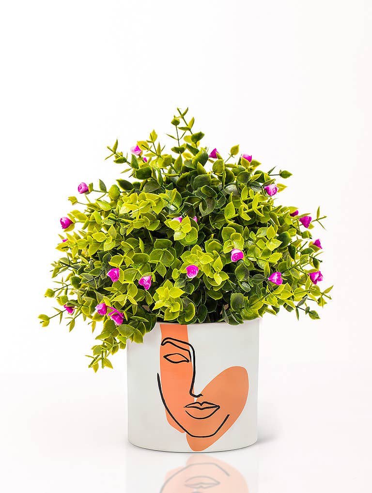Modern Face Planter
