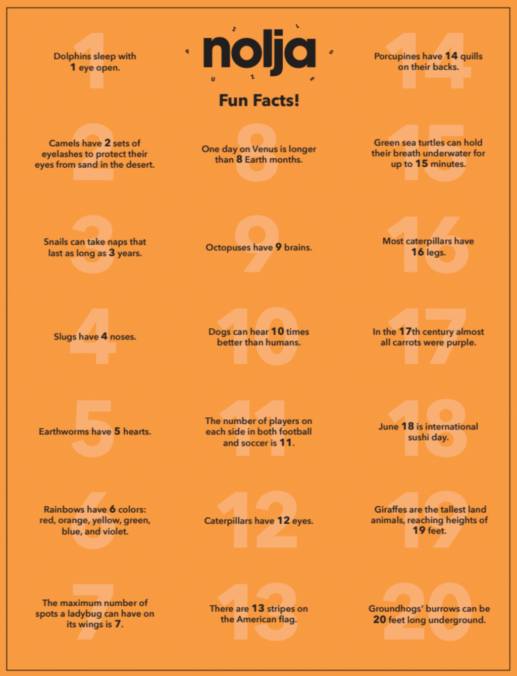 Nolja Easy As 1,2,3 36 Piece Jigsaw Puzzle