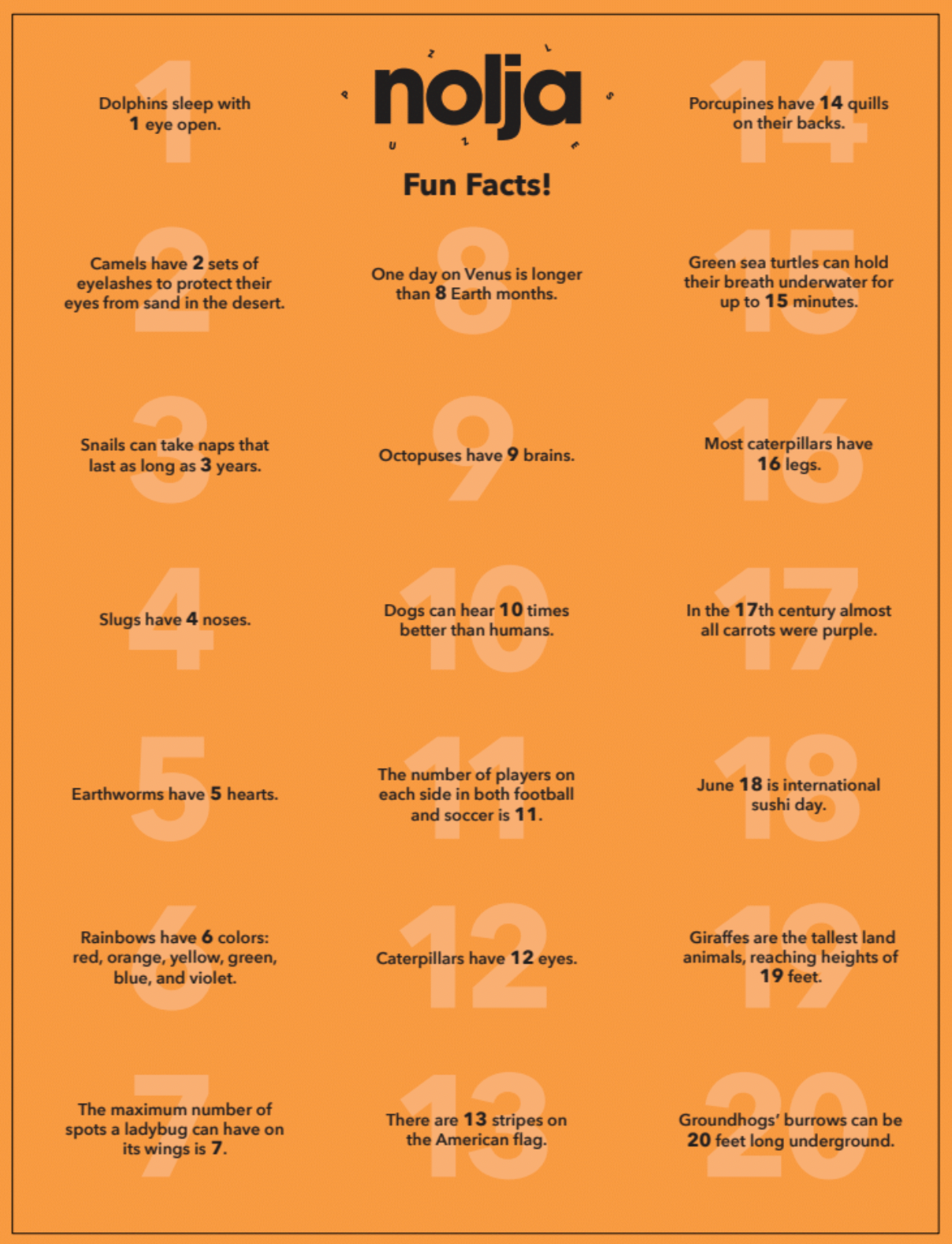 Nolja Easy As 1,2,3 36 Piece Jigsaw Puzzle