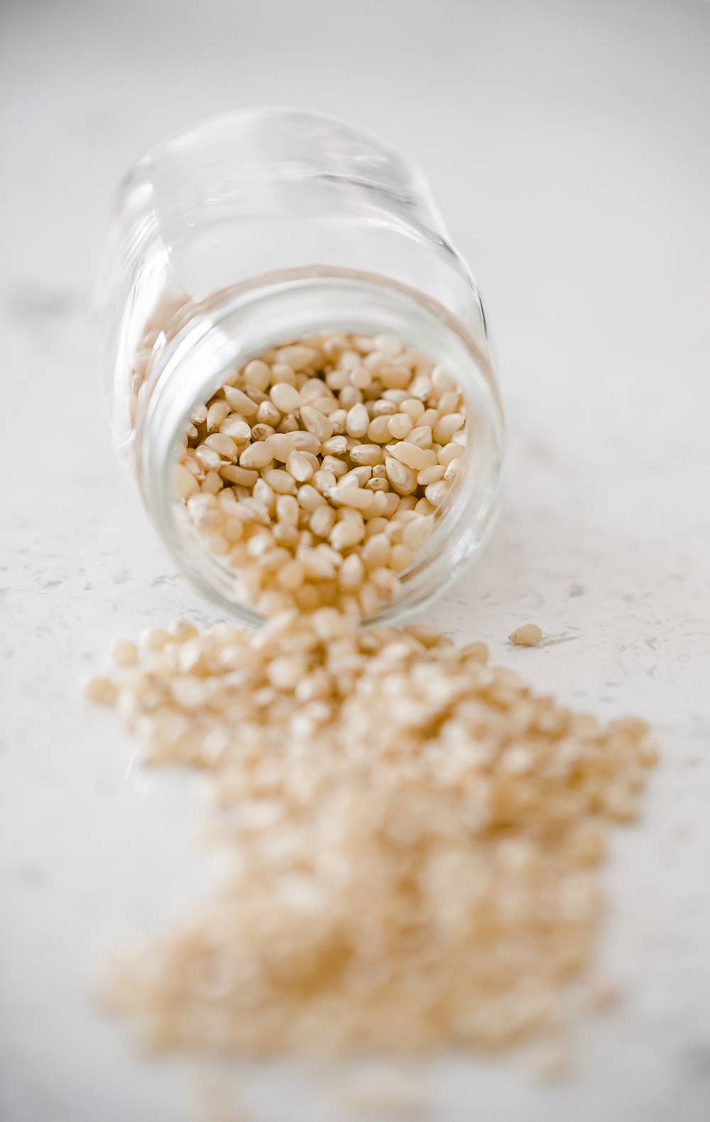 Amish Country White Hulless Popcorn