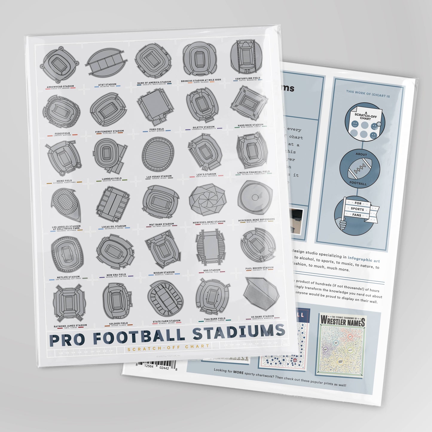 Pro Football Stadiums Scratch-Off Poster (12x16)