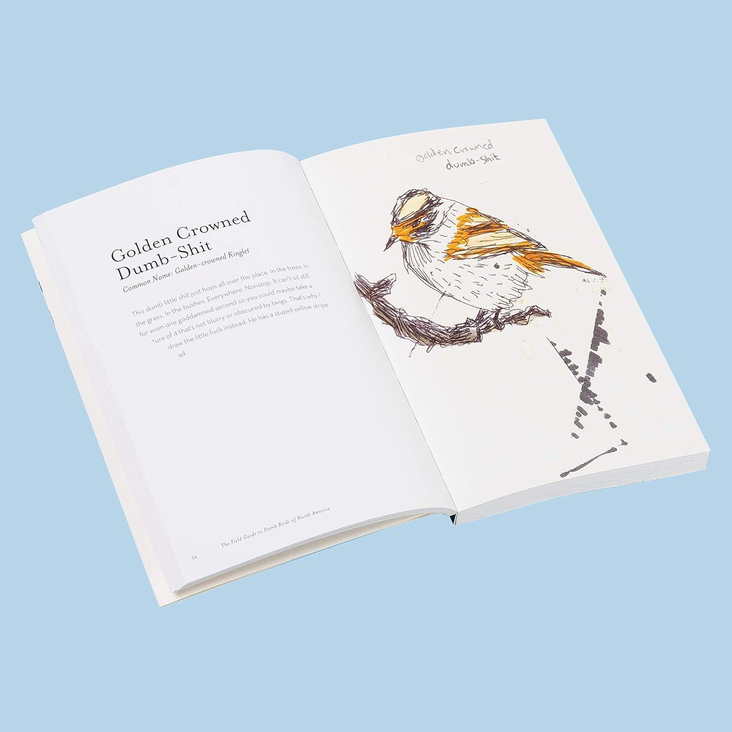 The Field Guide to Dumb Birds of America