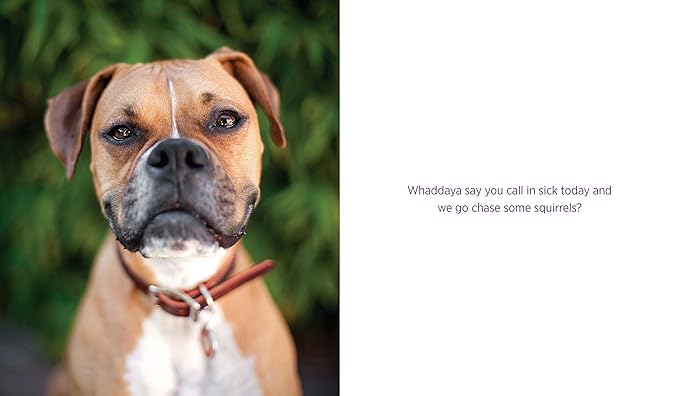 Waggish: Dogs Smiling for Dog Reasons