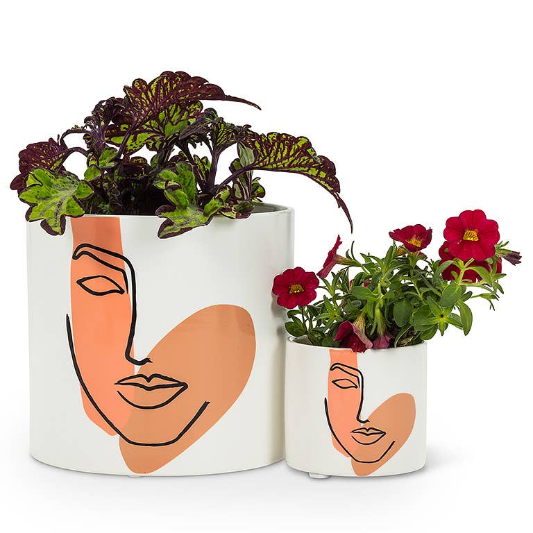 Modern Face Planter