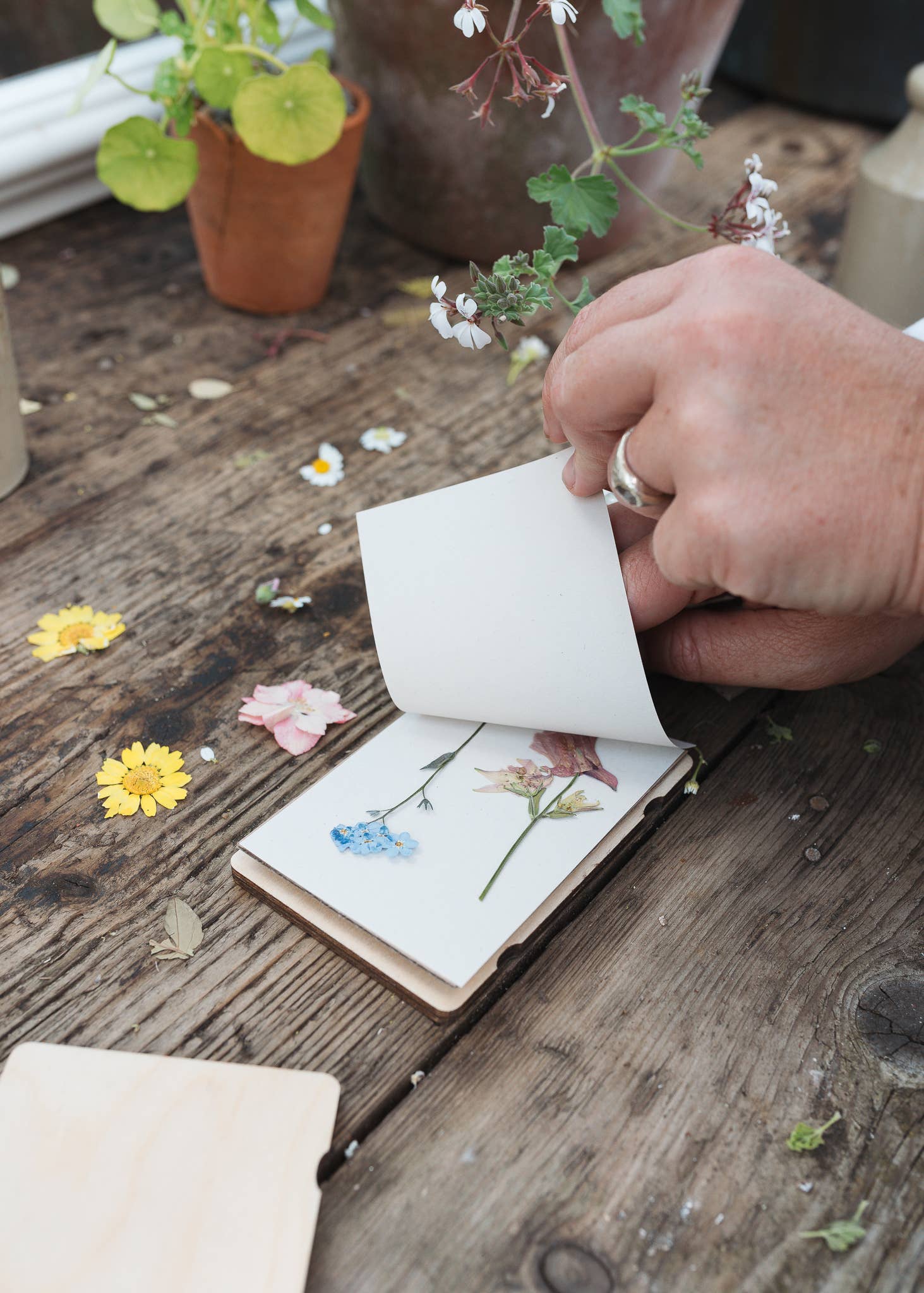 Pocket Flower Press - Vintage Cornflower