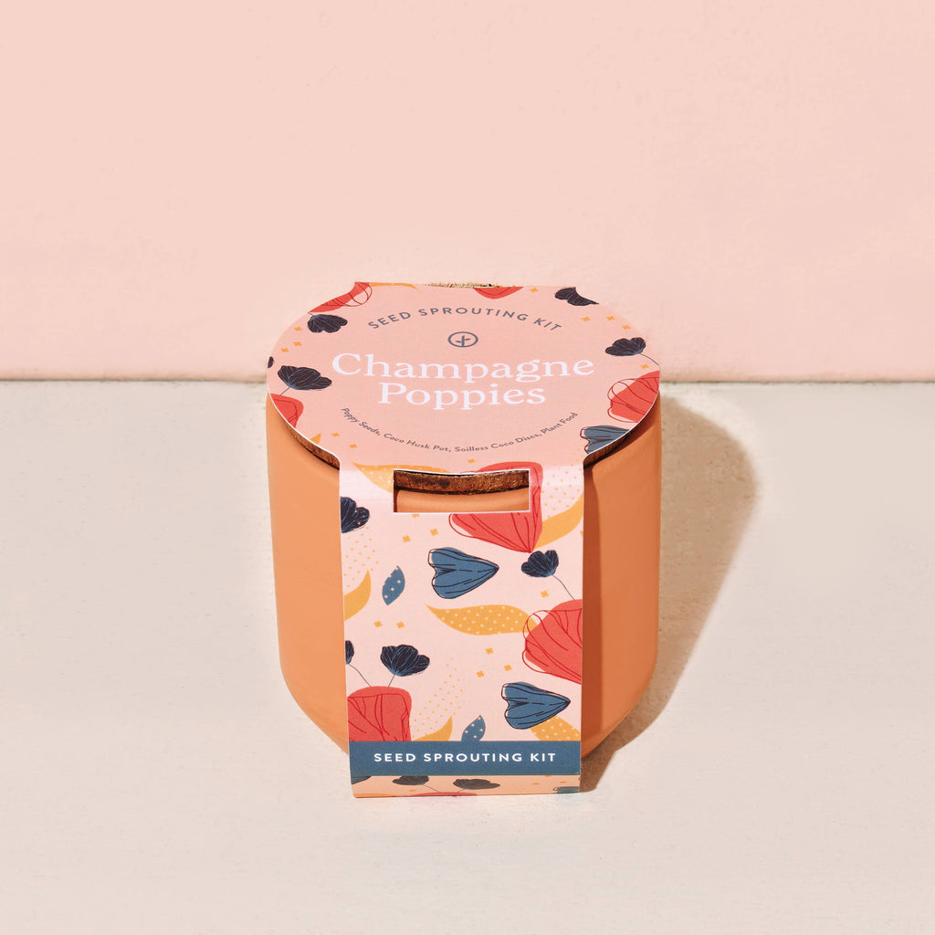 Champagne Poppies Grow Kit