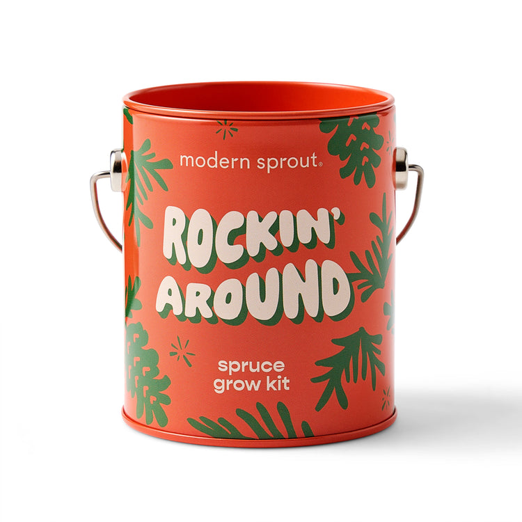 Holiday Grow Kits: Rockin' Around - Norway Spruce