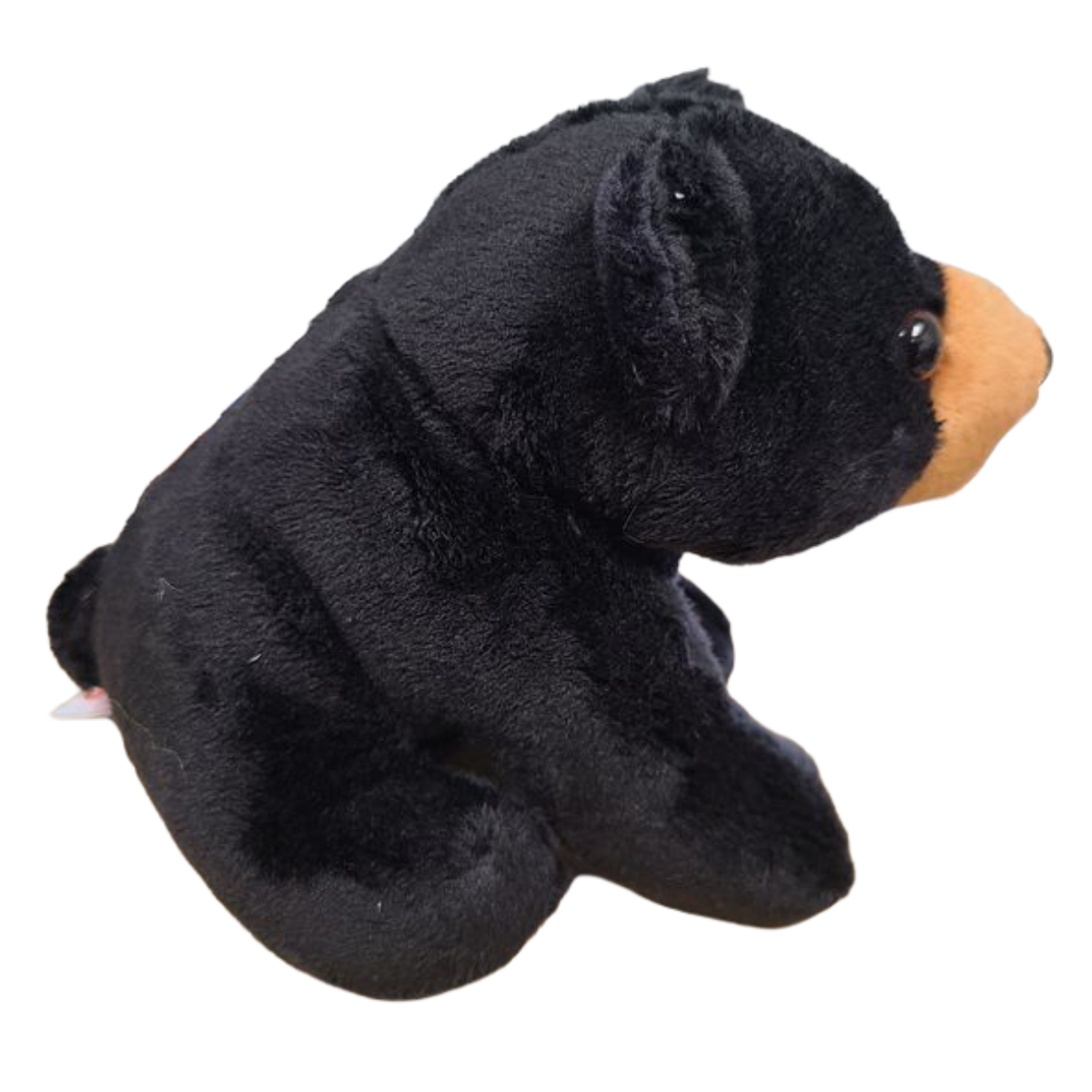 Russ the Canned Black Bear | Stuffed Zoo Plush w/Jokes