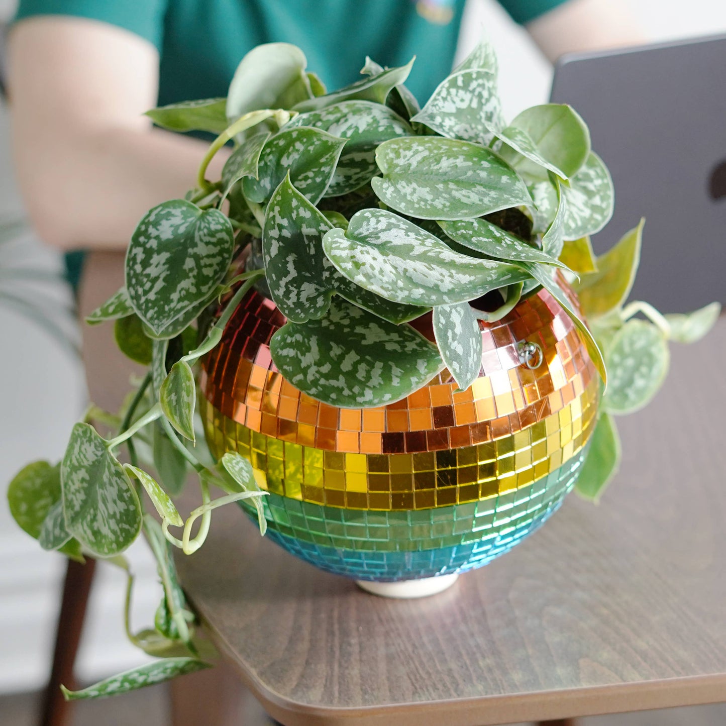 Disco Ball Hanging Planter - Rainbow