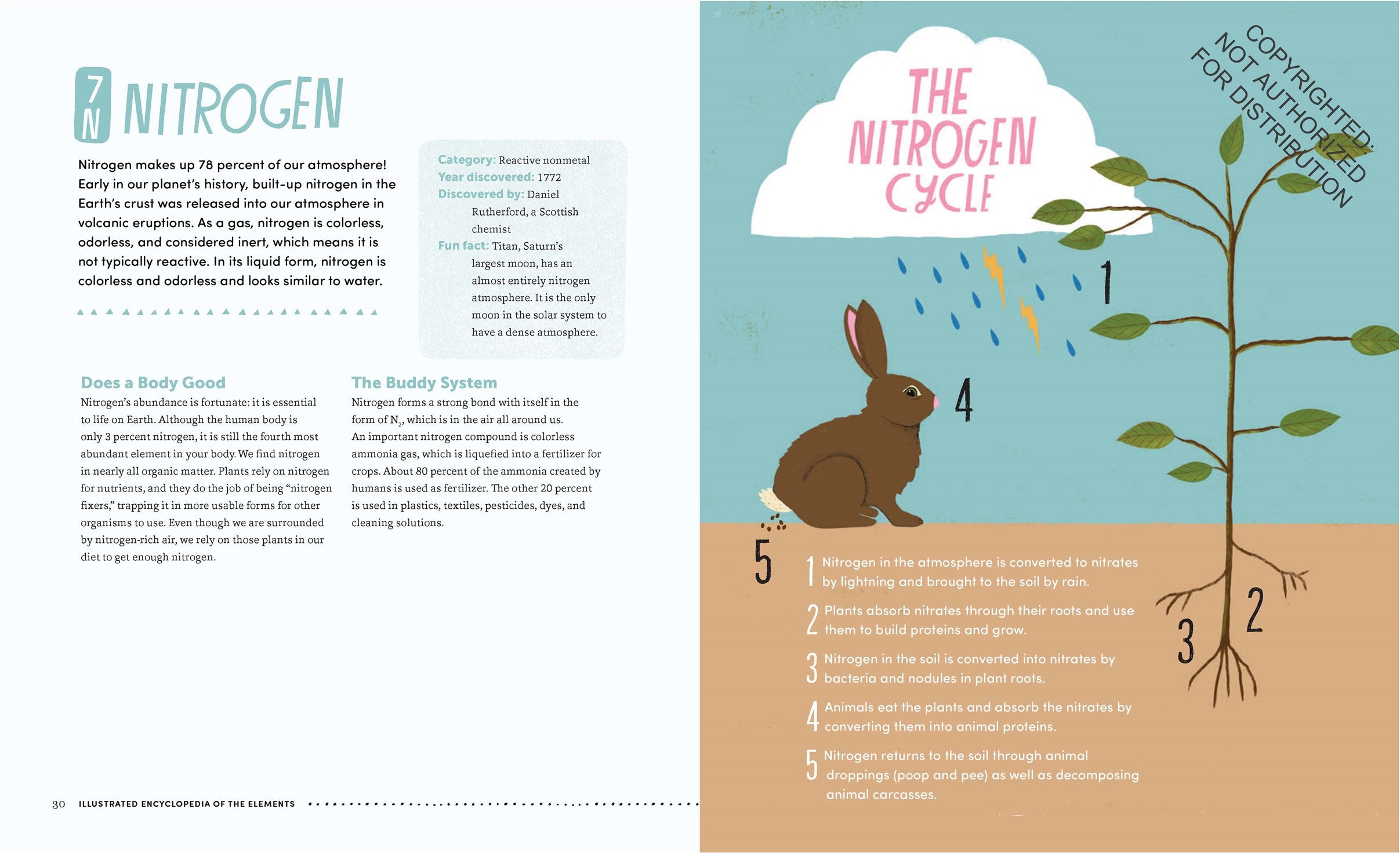The Illustrated Encyclopedia of the Elements: The Powers, Uses, and Histories of Every Atom in the Universe image 9