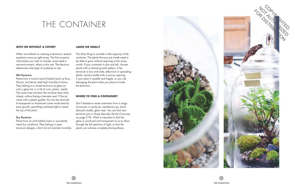 Terrarium