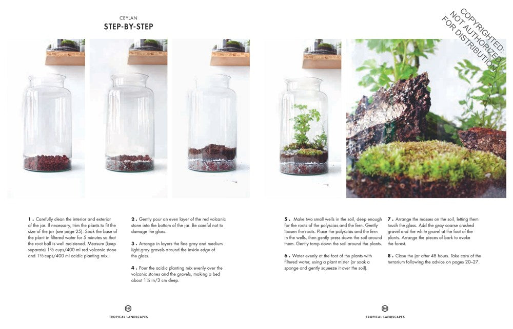 Terrarium