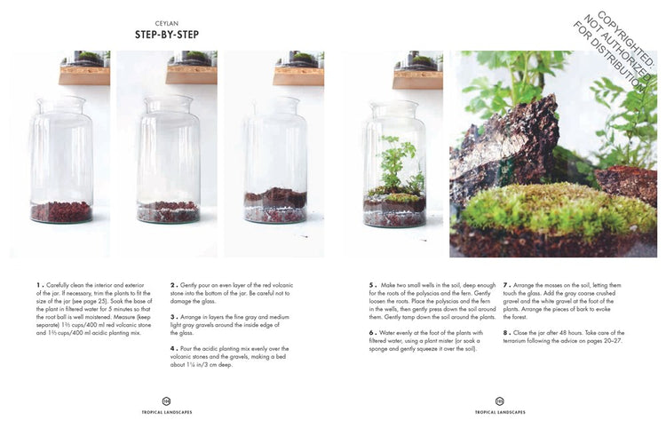 Terrarium