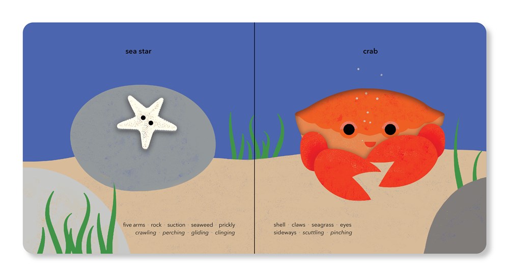 TouchThinkLearn: Underwater