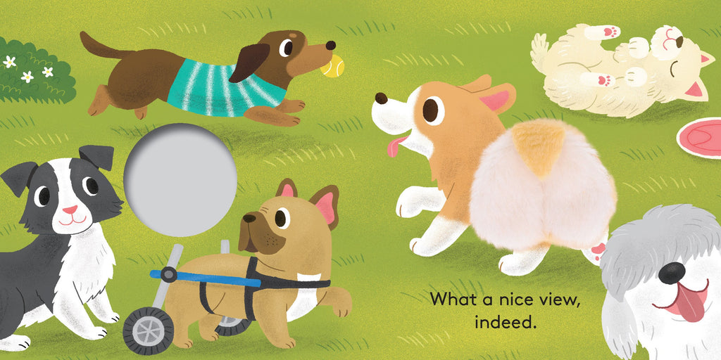 Baby Corgi Butt: Little Finger Puppet Book image 6