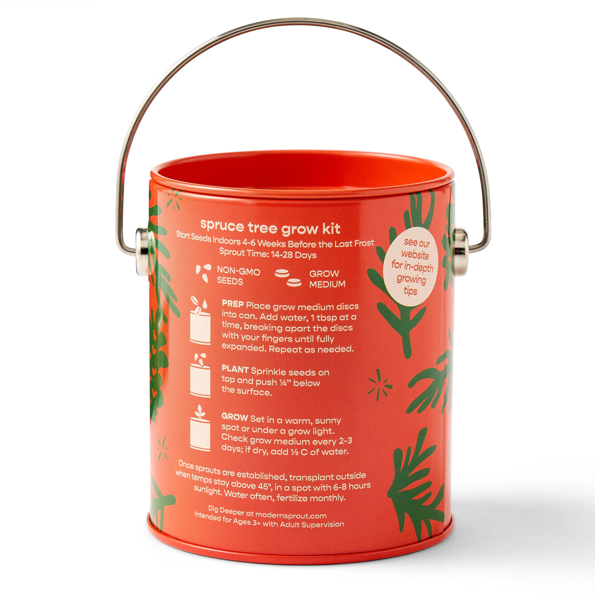 Holiday Grow Kits: Rockin' Around - Norway Spruce