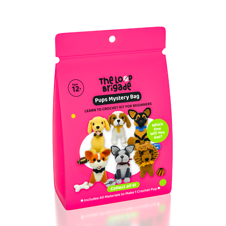 Beginner Crochet Kit - Mystery Pups Blind Bag