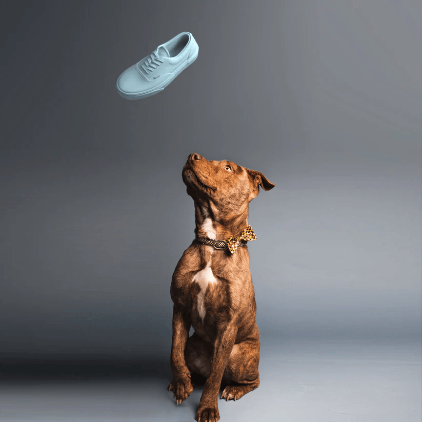 Sneakerhead Dog Chew Toy - Sky Blue