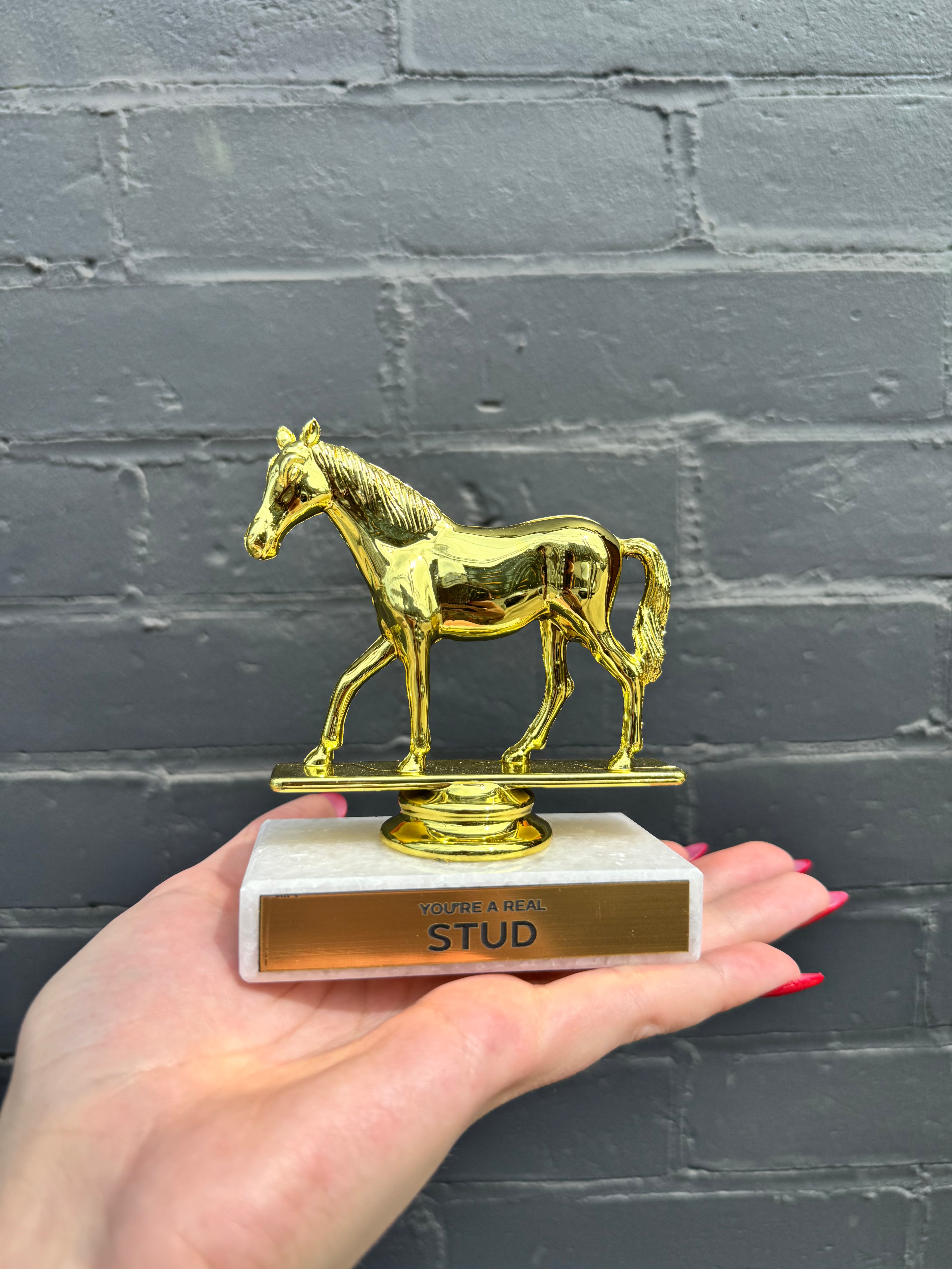 You're a Real Stud Trophy