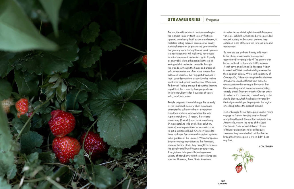 Slow Drinks: A Field Guide to Foraging and Fermenting Seasonal Sodas, Botanical Cocktails, Homemade Wines, and More