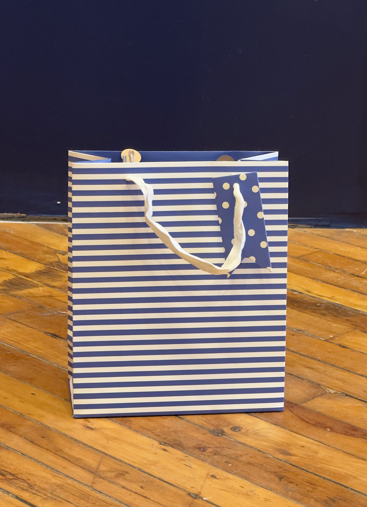 Small Stripped Gift Bag