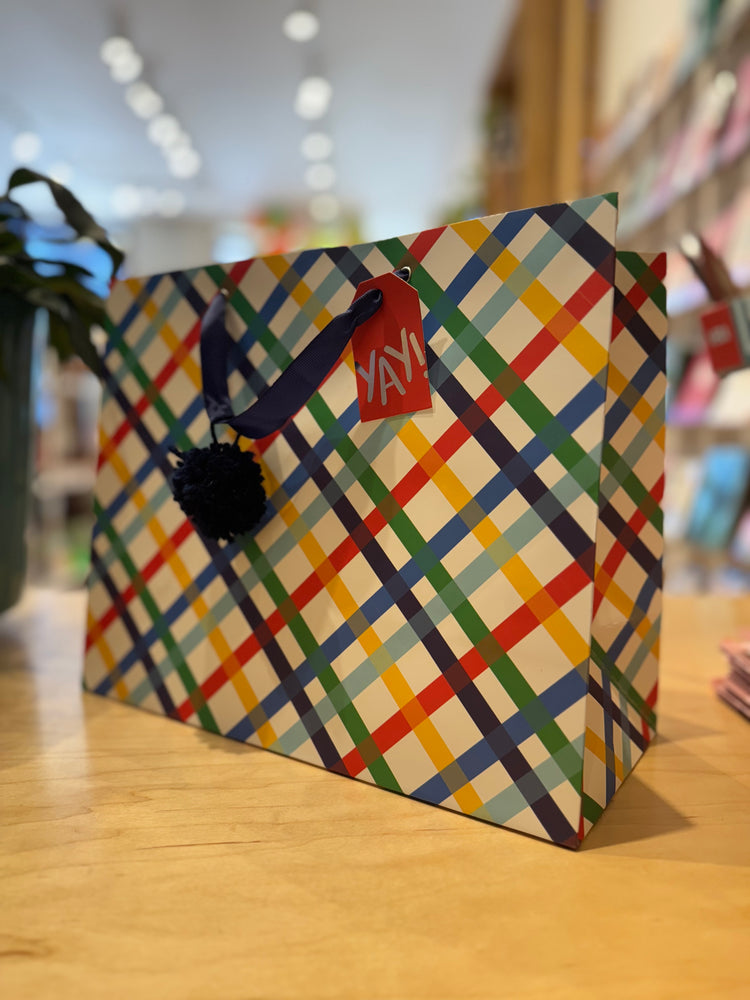 Colorful Striped Gift Bag