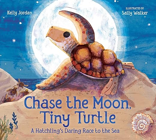 Chase the Moon, Tiny Turtle!