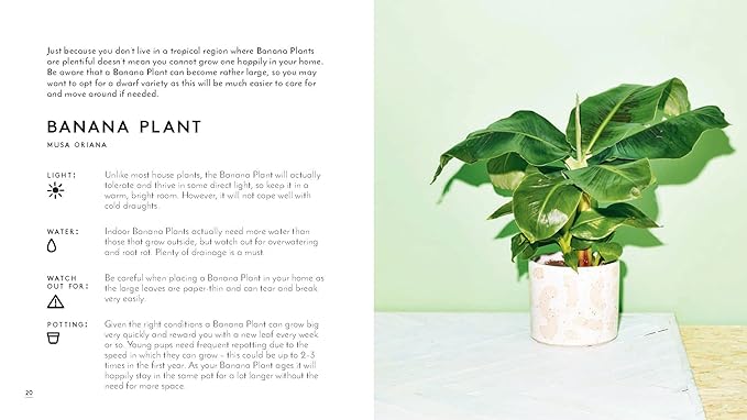 The Little Book of House Plants