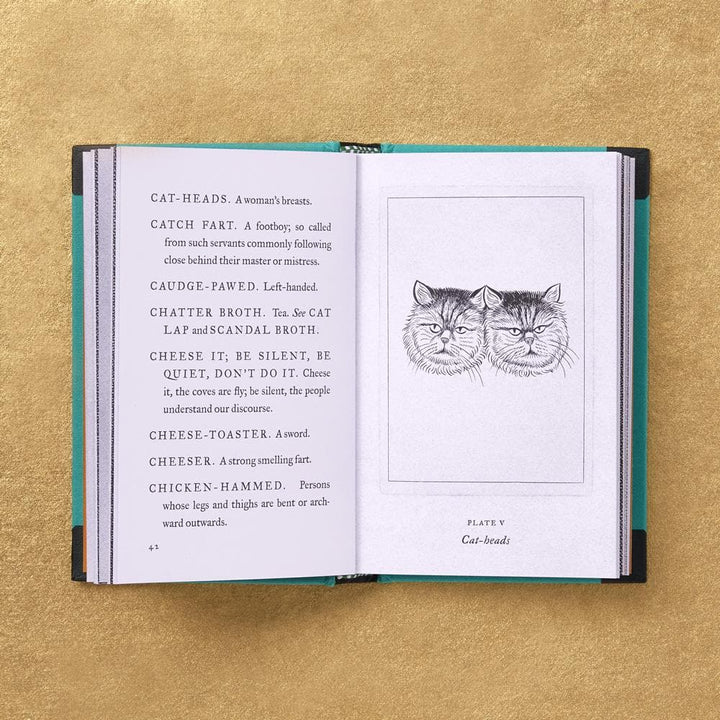 Pocket Dictionary of the Vulgar Tongue