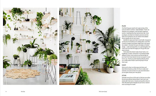 Plant Style: How to Greenify Your Space