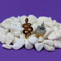 Snake Stud  Earrings